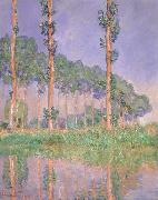 Claude Monet Poplars,Pink Effect oil